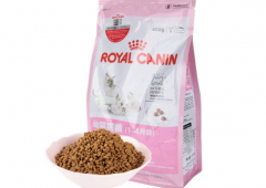 狗粮防伪标签定制流程_防伪标签